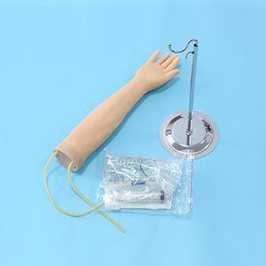 Arm venipuncture injection model